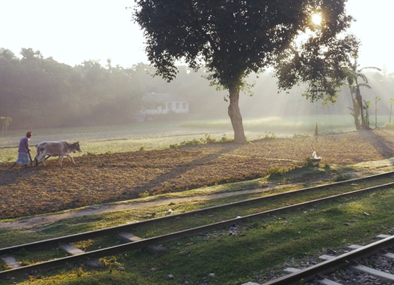 Dewanganj To Dhaka: 6 Hour Train Ride