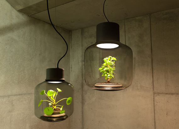 Mygdal Plant Light by Nui Studio