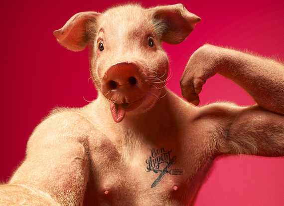 Social Animals by Cristian Girotto