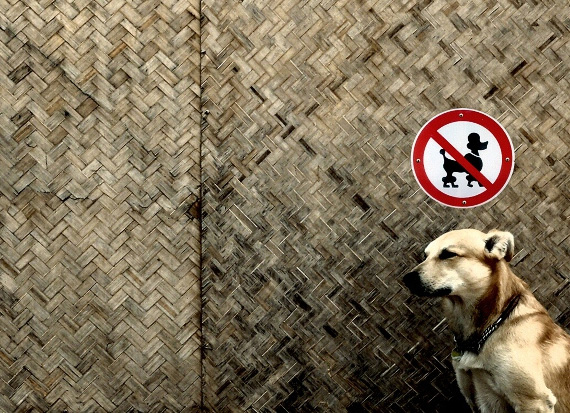 Photography by David Foster Nass