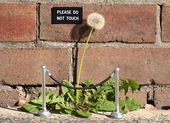Street Art Interventions by Michael Pederson