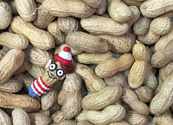 Hilarious Portraits on Peanuts by Steve Casino