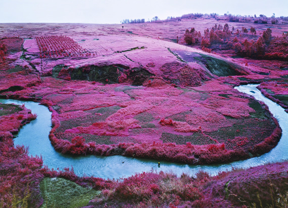 Series of Luridly Colored Photos by Richard Mosse
