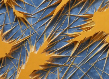 Relief Sculptures by Stefan Ivanov