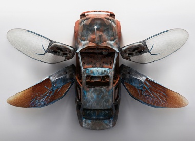 Car Insects by Luke Kirwan