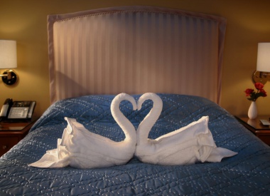 Towel Swans by PES for citizenM