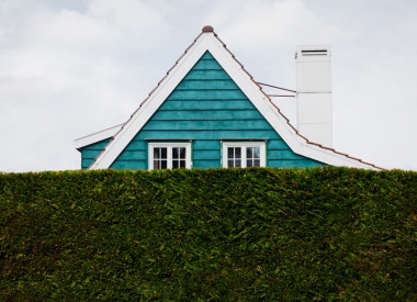 Green Lines Series by Davy Alexandra