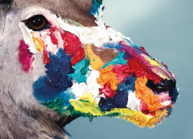 Toilet Paper Magazine