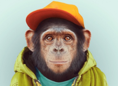 Zoo Portraits by Yago Partal