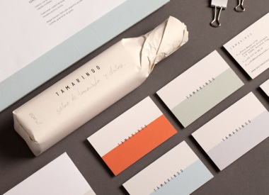 Branding for Tamarindo Patio Bar in Spain